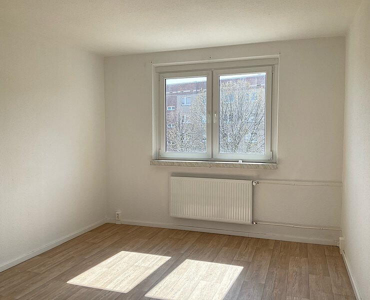 Preiswert und gut geschnitten